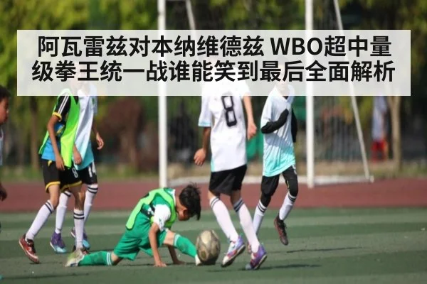 阿瓦雷兹对本纳维德兹 WBO超中量级拳王统一战谁能笑到最后全面解析